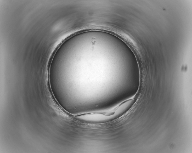 X0000093471280200711021223