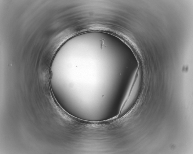 X0000093471281200711021223