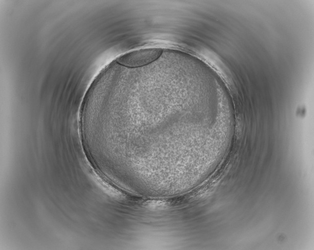 X0000093471283200711021223