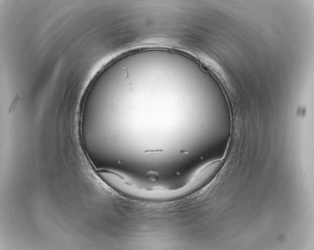 X0000093471288200711021223