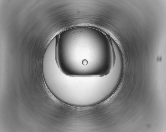 X0000093471289200711021223