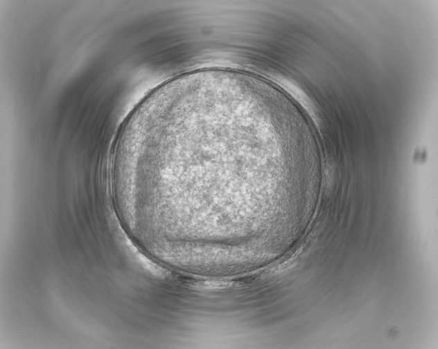 X0000093471290200711021223