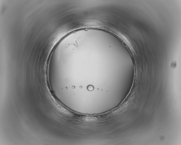 X0000093471291200711021223