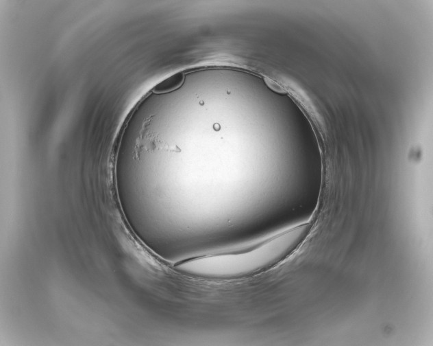 X0000093471292200711021223