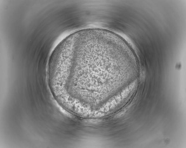 X0000093471294200711021223