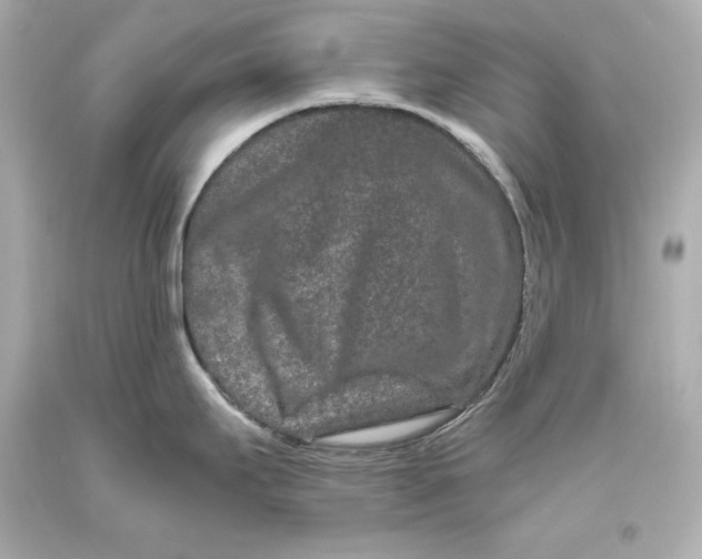 X0000093471295200711021223