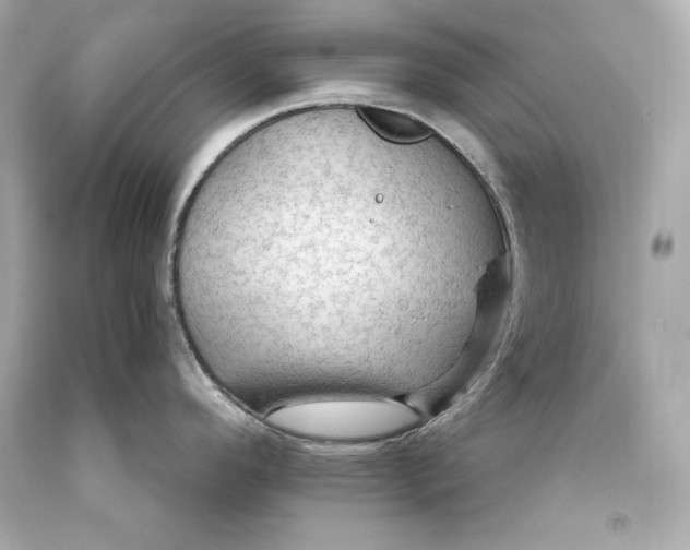 X0000093471296200711021223