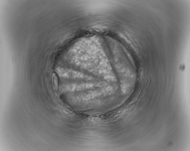 X0000093471297200711021222