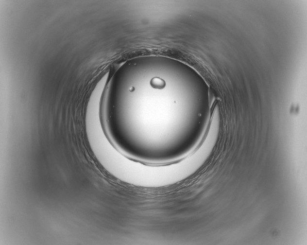 X0000093471298200711021223