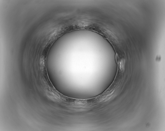 X0000093471299200711021223