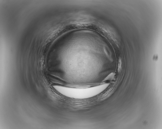 X0000093471300200711021223