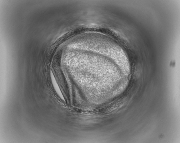 X0000093471301200711021223