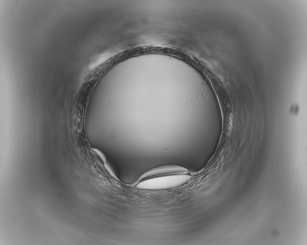 X0000093471303200711021223