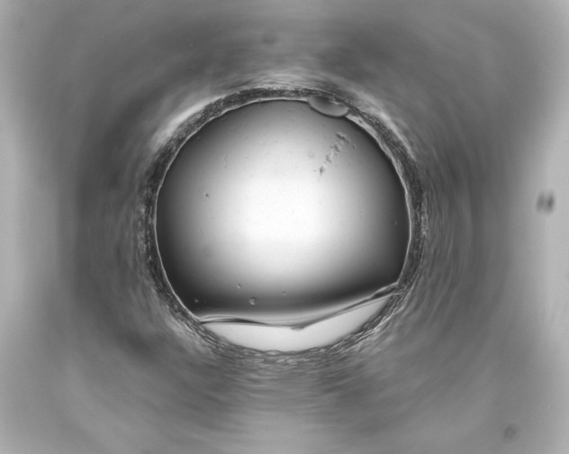 X0000093471304200711021223