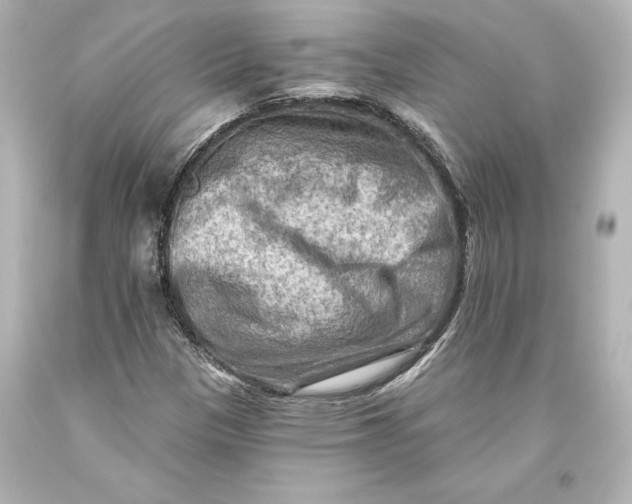 X0000093471305200711021223