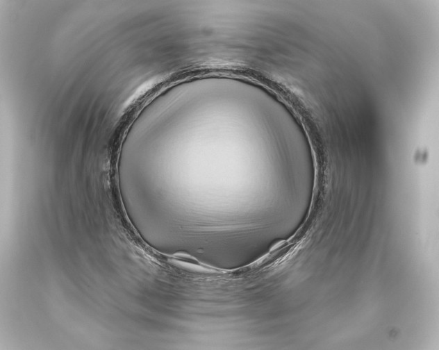 X0000093471306200711021223