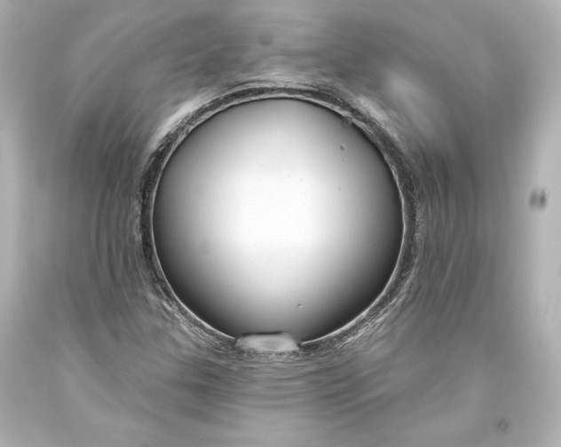 X0000093471307200711021223