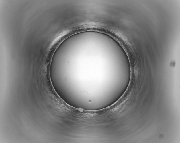 X0000093471309200711021223