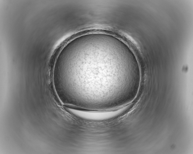 X0000093471310200711021223