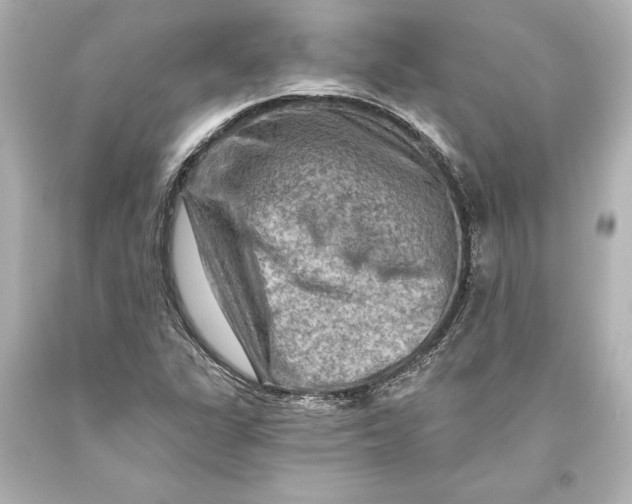 X0000093471311200711021223