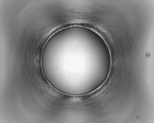 X0000093471313200711021223