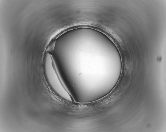 X0000093471316200711021223