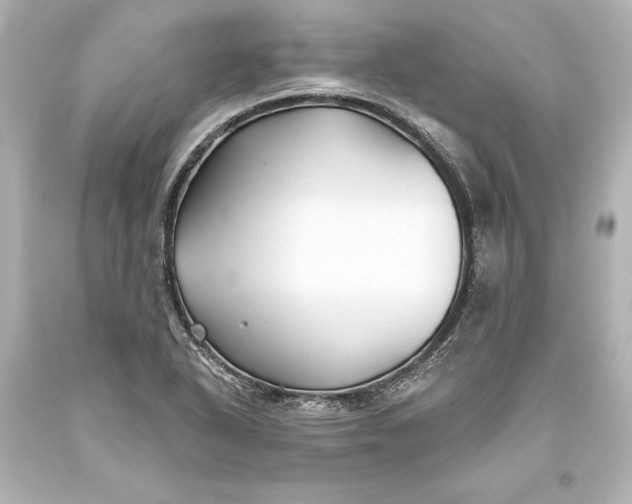 X0000093471318200711021223