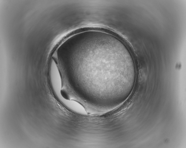 X0000093471319200711021223