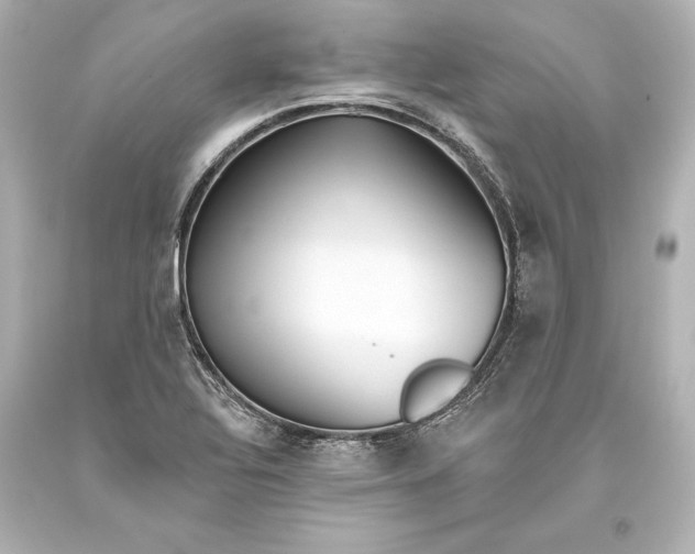 X0000093471320200711021223