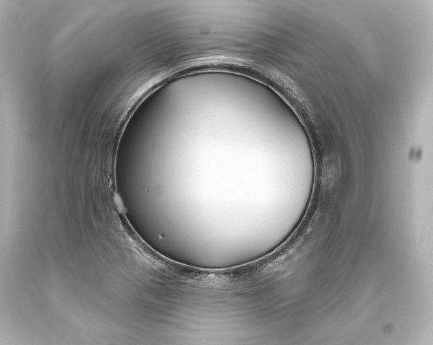 X0000093471321200711021223