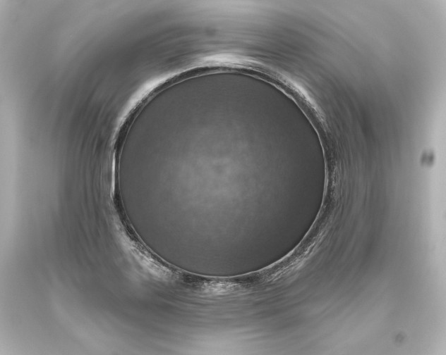 X0000093471323200711021223