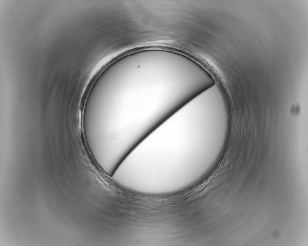 X0000093471324200711021223