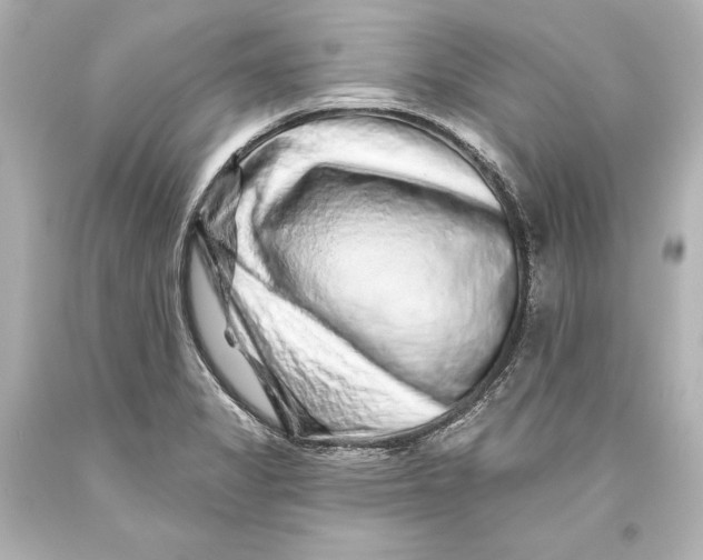 X0000093471325200711021223