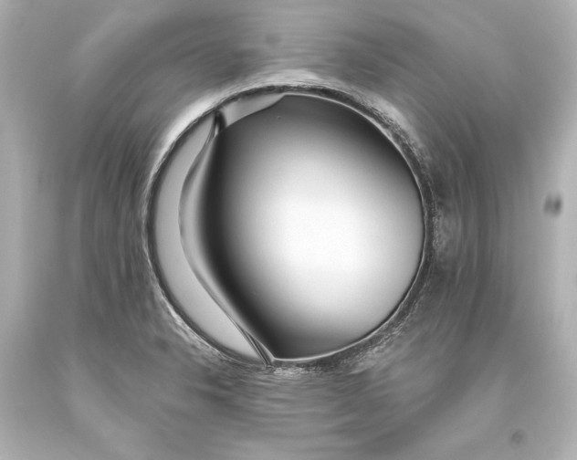 X0000093471326200711021223