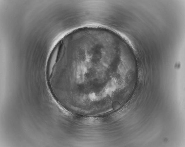 X0000093471327200711021223