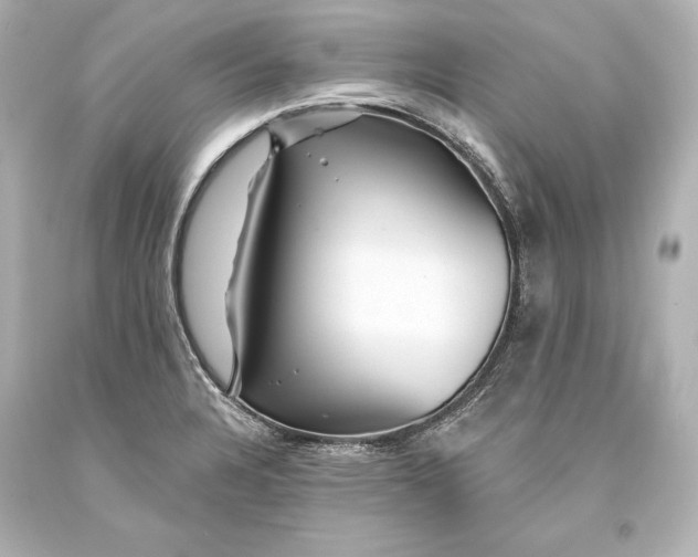 X0000093471328200711021223