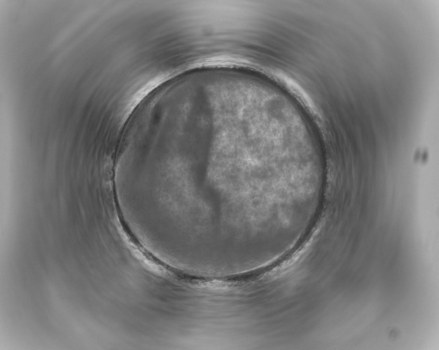 X0000093471329200711021223