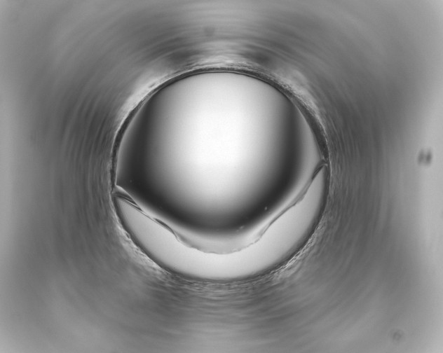 X0000093471330200711021223