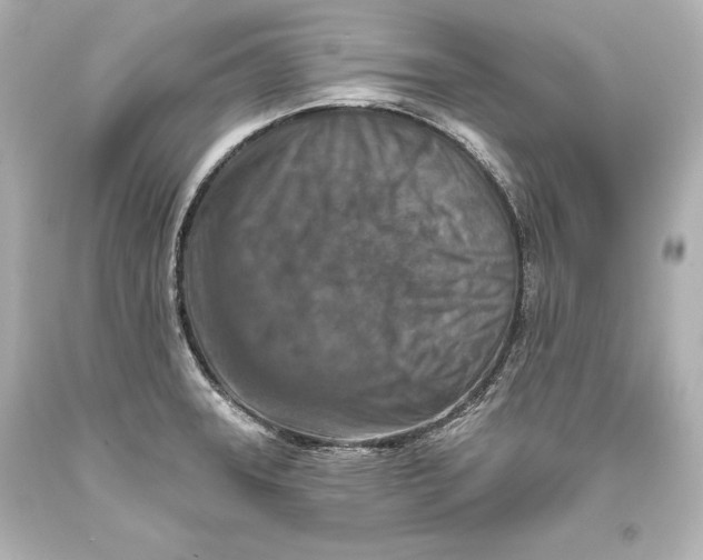 X0000093471331200711021223