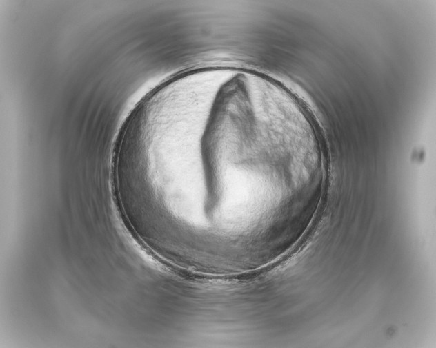 X0000093471333200711021223