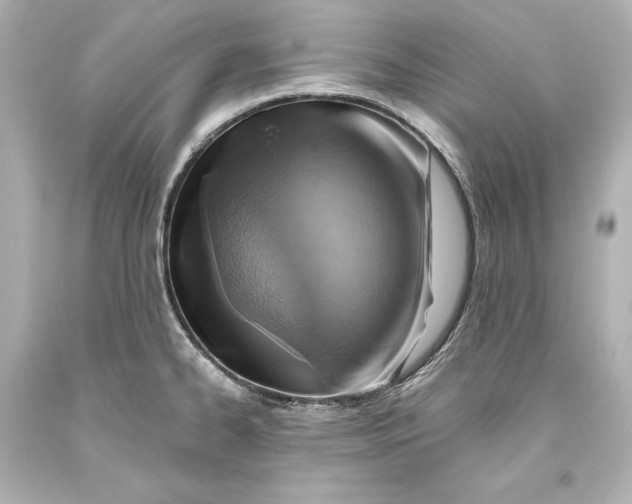 X0000093471334200711021223