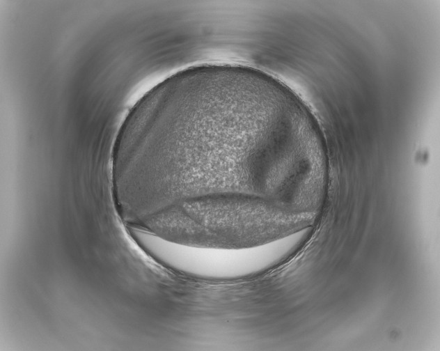 X0000093471335200711021223