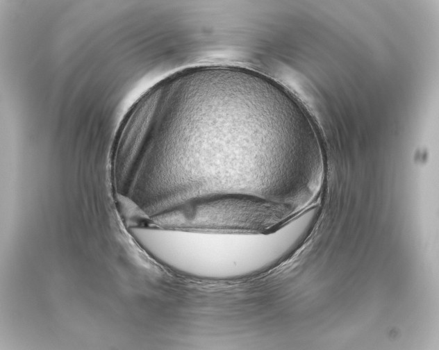 X0000093471336200711021223