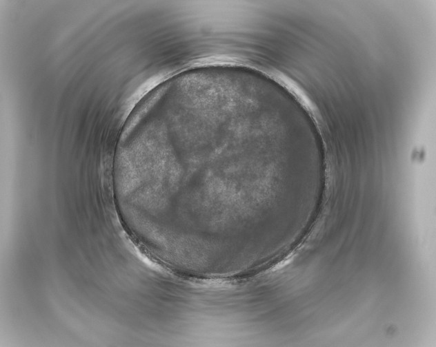 X0000093471337200711021223