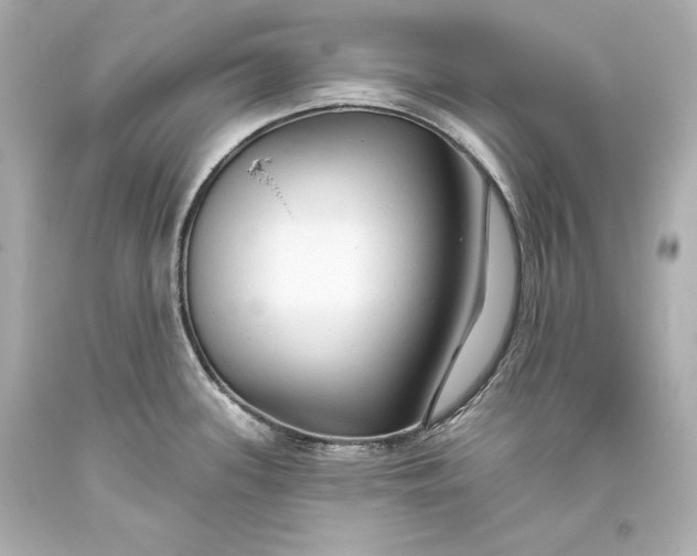 X0000093471339200711021223