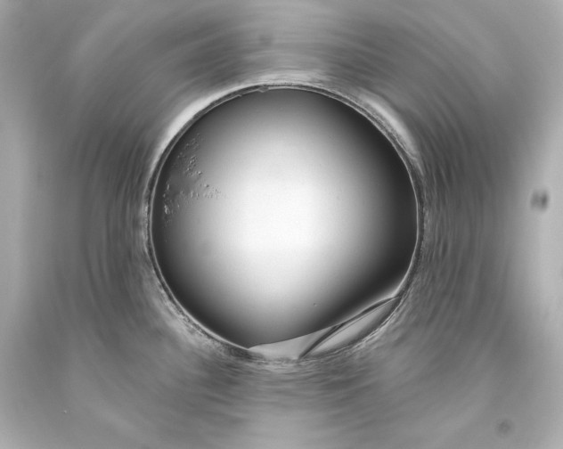 X0000093471340200711021223