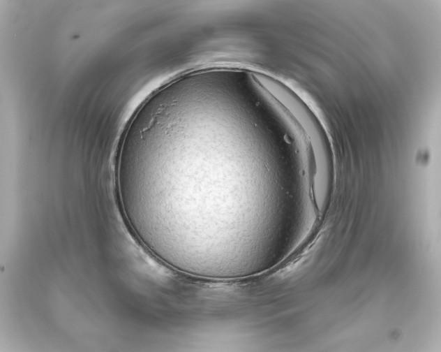 X0000093471341200711021223