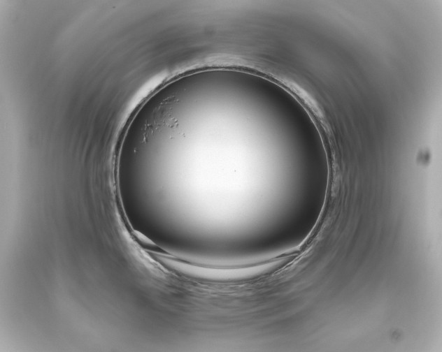 X0000093471342200711021223