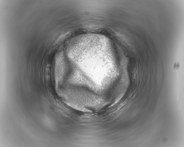 X0000093471346200711021222