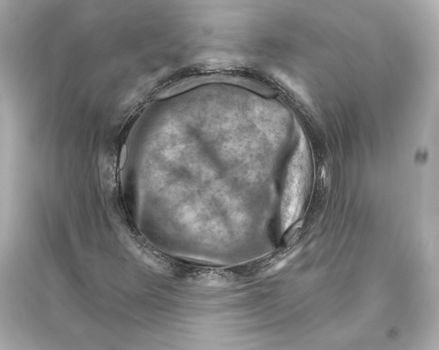 X0000093471348200711021222